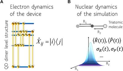 Parallel Quantum Computation of Vibrational Dynamics